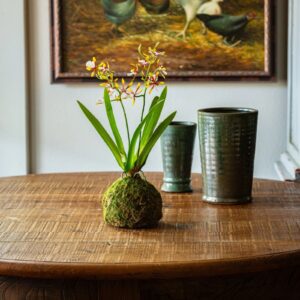 A small green plant centerpiece on a wooden table with vases and a painting in the background.