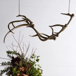 A large antler hanging from the ceiling