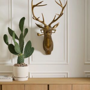 A cactus is in front of a deer head.