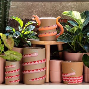 A collection of plants in pots with different designs.