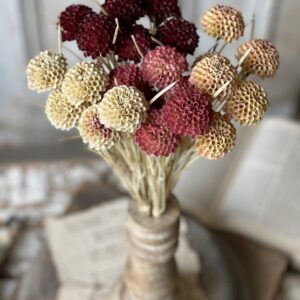 A rustic bouquet of dried red and beige flowers in a twine-wrapped vase.
